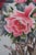 Chinese Silk Embroidered Peony Reticulated Rosewood Fire Screen Panel 31" For Sale - Image 12 of 18