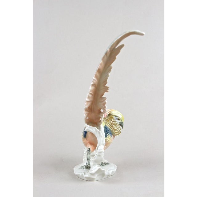 Ceramic Golden Pheasant Porcelain Figurine by F. Karl Ens, Germany, 1920s For Sale - Image 7 of 18