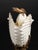 Royal Worcester Antique Royal Worcester Porcelain Nautilus Shell and Lizard Vase 1883 U Mark For Sale - Image 4 of 11