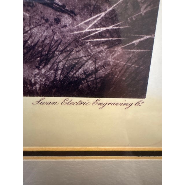 Framed Game Bird Prints After Archibald Thorburn, Pheasant & Ryper – A Pair For Sale In Denver - Image 6 of 12