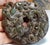 Green Antique Chinese Jade "Bi" Disk - Ritual Scroll For Sale - Image 8 of 12