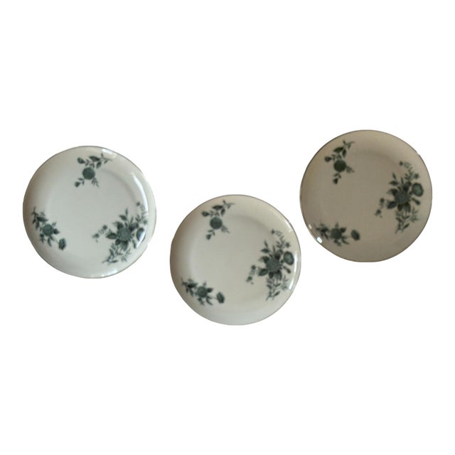 1960s Pickard Ravenswood 8 Inch Dinner Plates Green Floral - Set of Three (3) For Sale