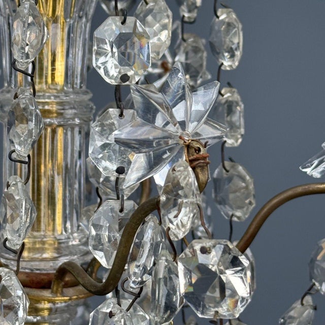 Metal Louis XVI Style, Bronze, Crystal, Thirty-Light Chandelier, France, 19th/20th C. For Sale - Image 7 of 16