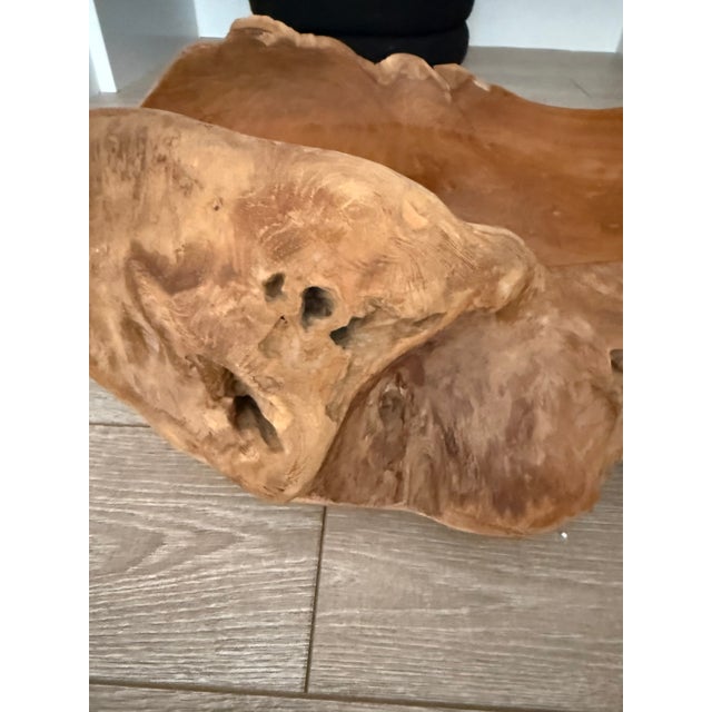 Stunning oversized organic sculptural teak vessel 29" W x 7" H from Andrianna Shamaris