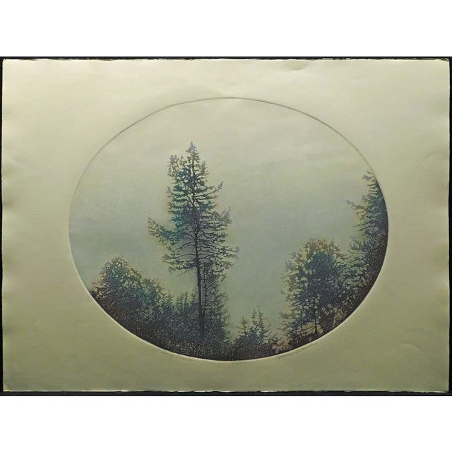 Catherine O'Connor "Spring Pines I & Ii" 2 Hand Signed Fine Art Etchings, Trees For Sale - Image 12 of 12