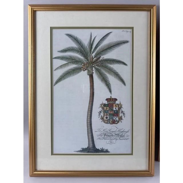 Neoclassical After George Dionysius Ehret Germany, 18th Century Two 20th Century Botanical Prints: For Sale - Image 3 of 4