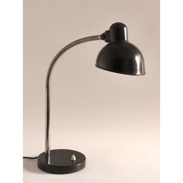 Vintage German Bauhaus Desk Lamp by Christian Dell for Kaiser Idell 6561, 1950s For Sale - Image 12 of 12