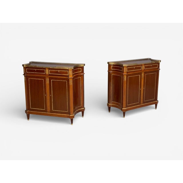 Maison Jansen, Russian Neoclassical Style, Large Cabinets, Mahogany, Bronze For Sale - Image 4 of 9