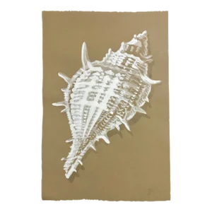 Bleached Shell, Original Gouache Painting by Gretchen Kelly