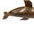 Vintage Coastal Hand Carved Burlwood Dolphin For Sale - Image 6 of 8