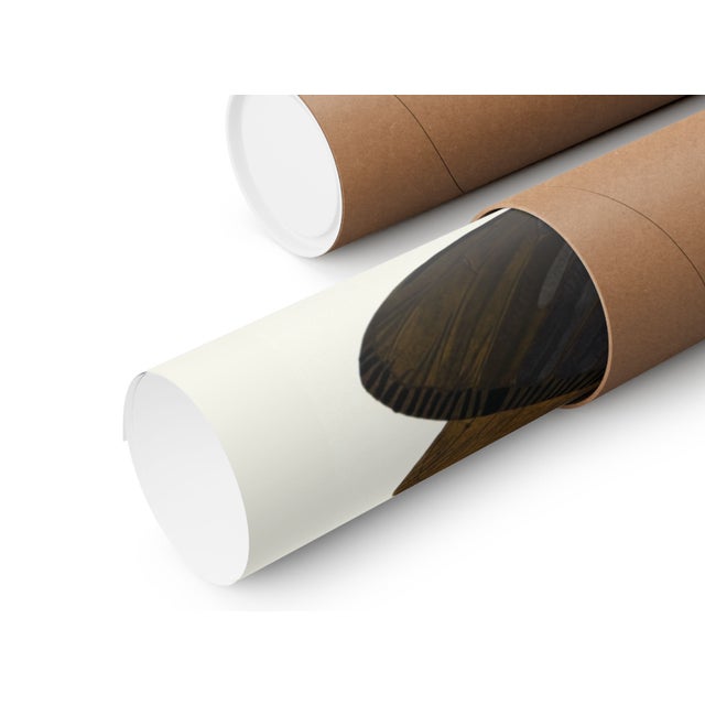 Insects Plate 01 by Emile-Allain Séguy, Vintage Art Print Reproduction, 18" × 24" For Sale In Buffalo - Image 6 of 6