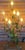 Vintage Italian Florentine Metal Table Lamp, 1960s For Sale - Image 6 of 12