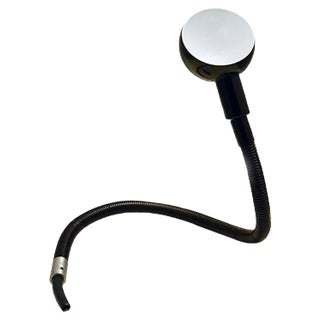 Hebi Snake Flexible Lamp by Isao Hosoe for Valenti Luce, 1970s For Sale