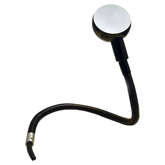 Hebi Snake Flexible Lamp by Isao Hosoe for Valenti Luce, 1970s For Sale