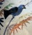 Ceramic 18th Century Japanese Covered Potiche in Arita Porcelain with Imari Decoration, , 1690 For Sale - Image 7 of 13