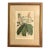 Antique Botanical Illustration Original Lithograph of Himalayan Rhododendron Flowers, C. 1849, French Belgium, Gilded For Sale