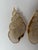 Golden Jewel Water Snail Wall Lights, 1960s, Set of 2 For Sale - Image 4 of 18