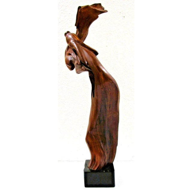 Abstract 1970s Costa Rican Henry Villalobos Cypress Wood Abstract Sculpture Titled Ceremony For Sale - Image 3 of 14