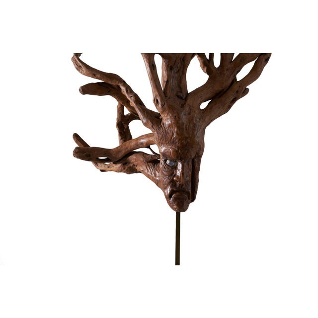 Driftwood sculpture selected by John Dickinson for the Historic Firehouse, San Fransisco. Placed in John's bedroom on the...