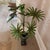 Vintage Hollywood Regency Palm Beach Metal Tole Palm Tree Planter For Sale - Image 4 of 12
