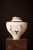 Not Yet Made - Made To Order Apollo Amphora For Sale - Image 5 of 8