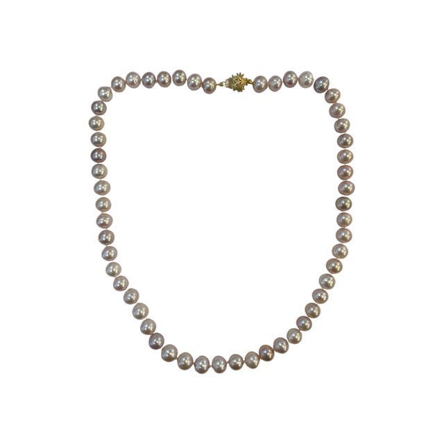 Pink Pearl Single Strand Necklace With 14k Yellow Gold Clasp For Sale - Image 4 of 8