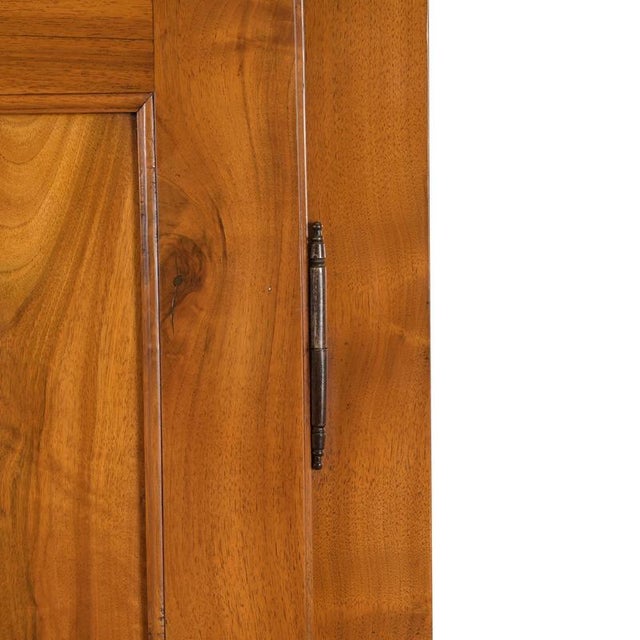Biedermeier Walnut Cabinet, Rheinhessen, 1830s For Sale - Image 8 of 11