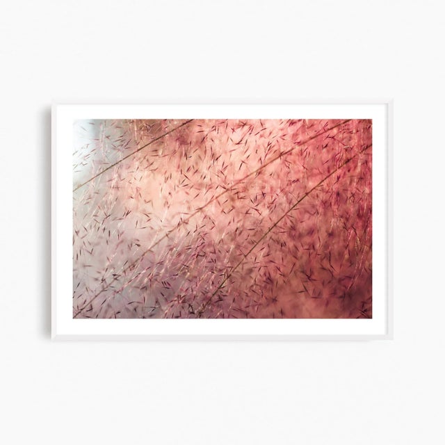 Pink 'In the Pink' Set of Botanical Photographs, Series of Four 45 X 30" Fine Art Photography Prints For Sale - Image 8 of 15