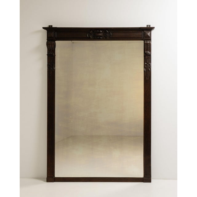 Wood 19th Century France Brown Wood Full-length & Floor Mirrors For Sale - Image 7 of 10