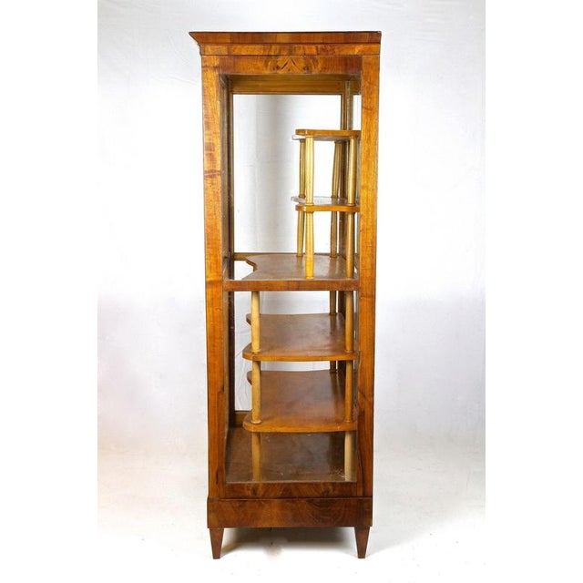 19th Century Biedermeier Display Cabinet in Vitrine and Nutwood, Austria, 1840 For Sale - Image 13 of 17