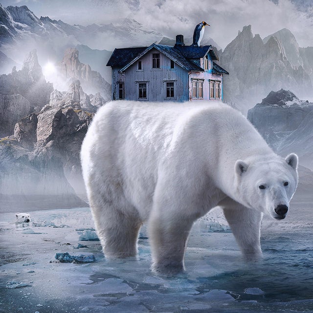 Lost in the Ice by Marcin Owczarek | Photography of polar bears in a surreal icy landscape For Sale - Image 4 of 4