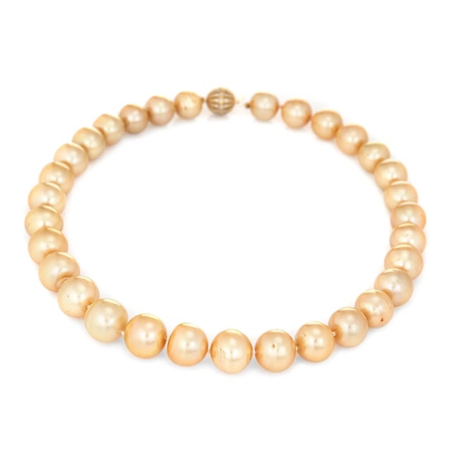 Golden South Sea Pearl Necklace Diamond Clasp 14 Karat Gold Estate For Sale - Image 4 of 4