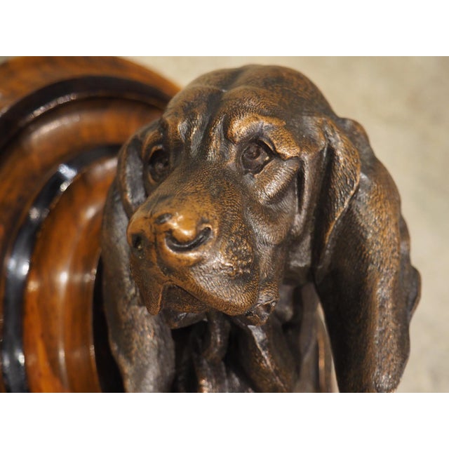 A Signed Antique French Medallion Bronze Bust of the St. Hubert Hound (1851-1925) For Sale - Image 13 of 15