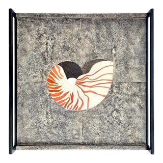 R & Y Augousti Nautilus Shell Large Tray For Sale