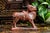 Hand Carved Asian Folk Art Wood Animal Sculpture Statue Distressed Painted Patina Home Decor For Sale - Image 11 of 11