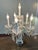 Extraordinary Rare Antique unmarked, possibly Czech Crystal Chandelier table/ buffet lamp. The gorgeous lamp features a...