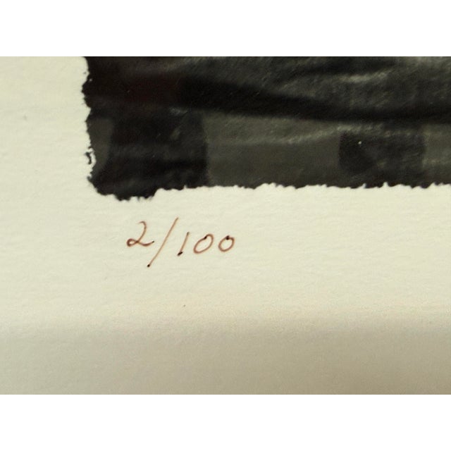 Elsa Hahne Photography Cherry Bomb Limited Edition Print 2 of 100, Signed For Sale - Image 10 of 12