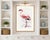 Illustration Lesser Flamingo by C. G. Finch-Davies, Vintage Reproduction Bird Art Print, 32" × 48" For Sale - Image 3 of 10