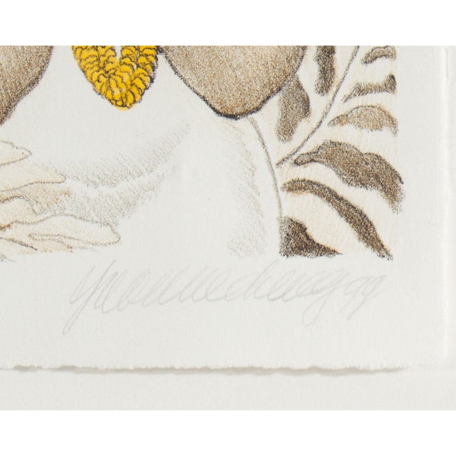 Limited Edition Lithograph by Yvonne Cheng For Sale - Image 4 of 8