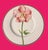 2000 - 2009 6 Flora by Villeroy & Boch Lunch Plates For Sale - Image 5 of 8