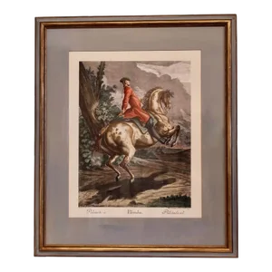 “Pallotade,” Large Equestrian (Dressage) Engraving by J. E. Ridinger