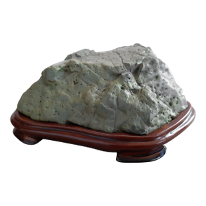 Chinese Green Turtle Gongshi