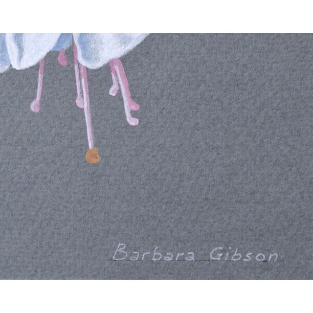 Vintage Red and White Fuchsia by Barbara Gibson For Sale - Image 4 of 5