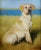 American Laura E. Cassidy Portrait of a Yellow Labrador Retriever - Oil Painting For Sale - Image 3 of 9