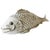 Antique Coiffe Limoges Fish Box White Porcelain with Silver French Terrine from circa 1891-1914. A beautiful and rare...