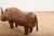 Animal Skin Animal Rhino Ottoman in Leather by Dimitri Omersa for Omersa, 1963 For Sale - Image 7 of 13