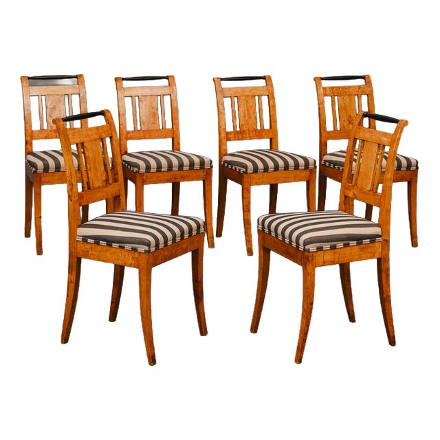 19th Century Biedermeier Chairs in Birch, Set of 6 For Sale