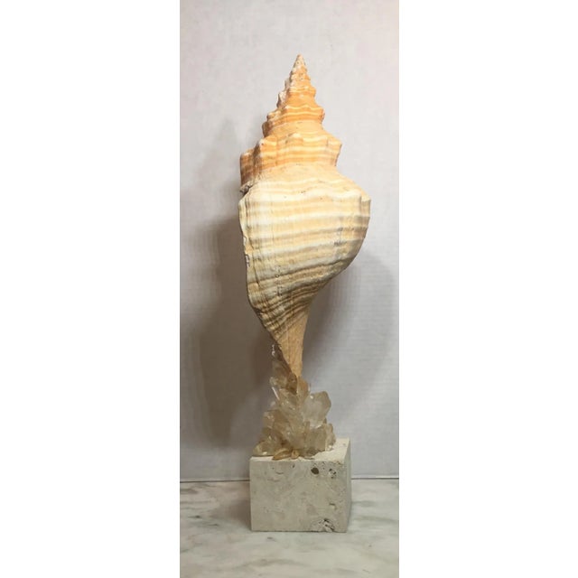 Vintage One of a Kind Sea Shell and Crystal Quartz by Joseph Malekan For Sale In Miami - Image 6 of 13