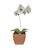 A lovely, vintage tole potted orchid. Features a hand painted metal orchid in white with yellow accents surrounded by...
