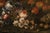 Felice Boselli, Still Life of Flowers and Fruit Boselli, 1700, Oil on Canvas For Sale - Image 4 of 15